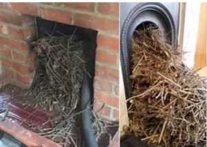 RB Chimney Sweep Tenterden Kent